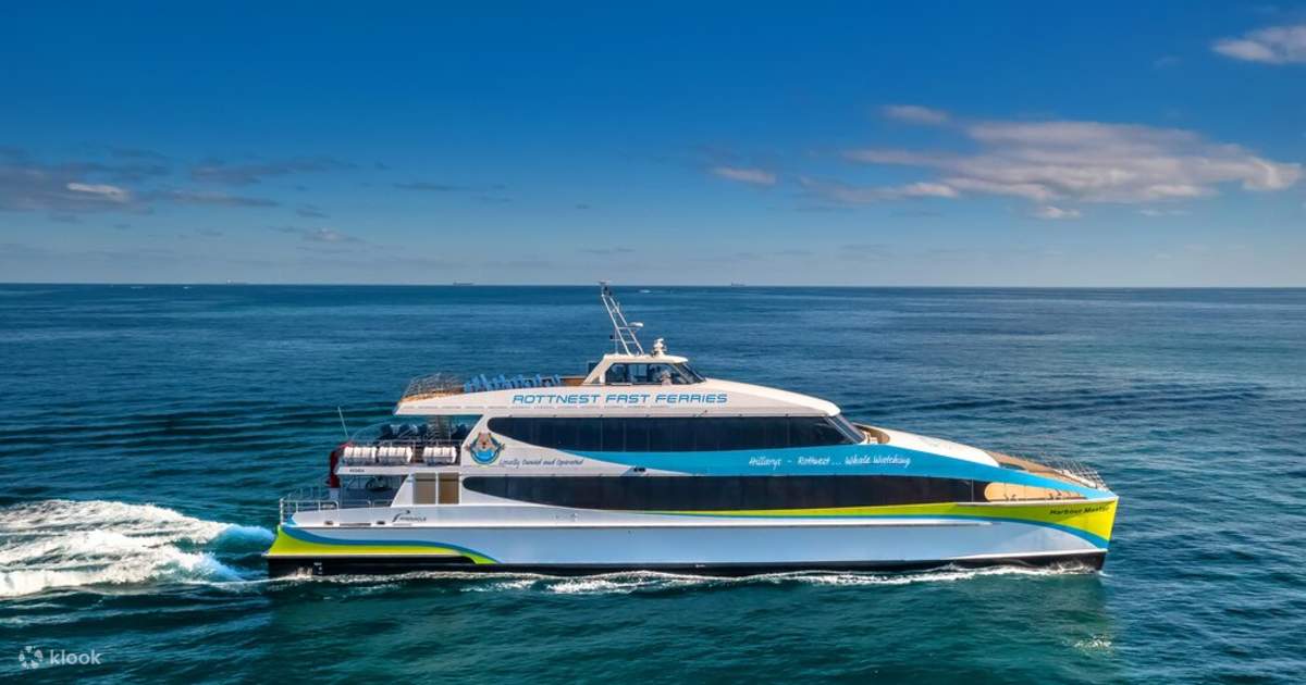 2Hour Whale Watching Experience from Perth Klook Singapore